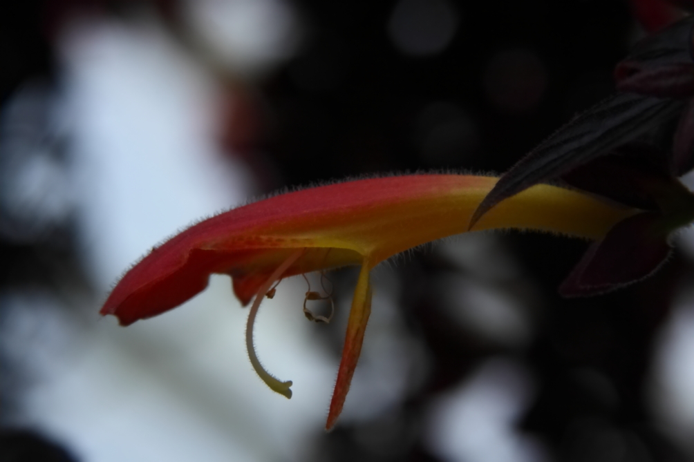 2013 02 23 IMG 6003